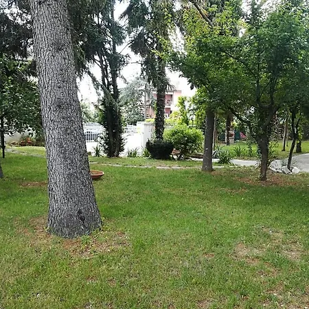 L'ora Dorata