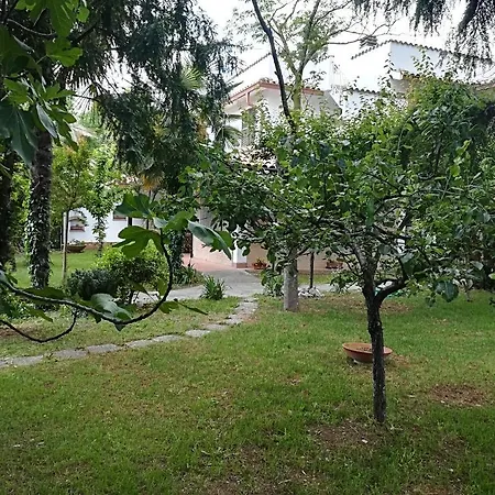 L'ora Dorata Nyaraló Iesi