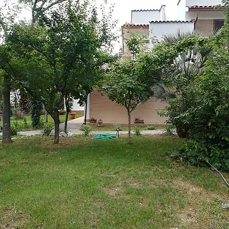 L'ora Dorata * Iesi