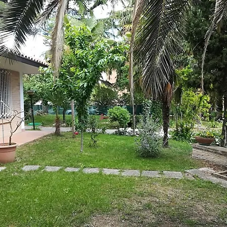 L'ora Dorata Nyaraló Iesi