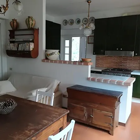 L'ora Dorata